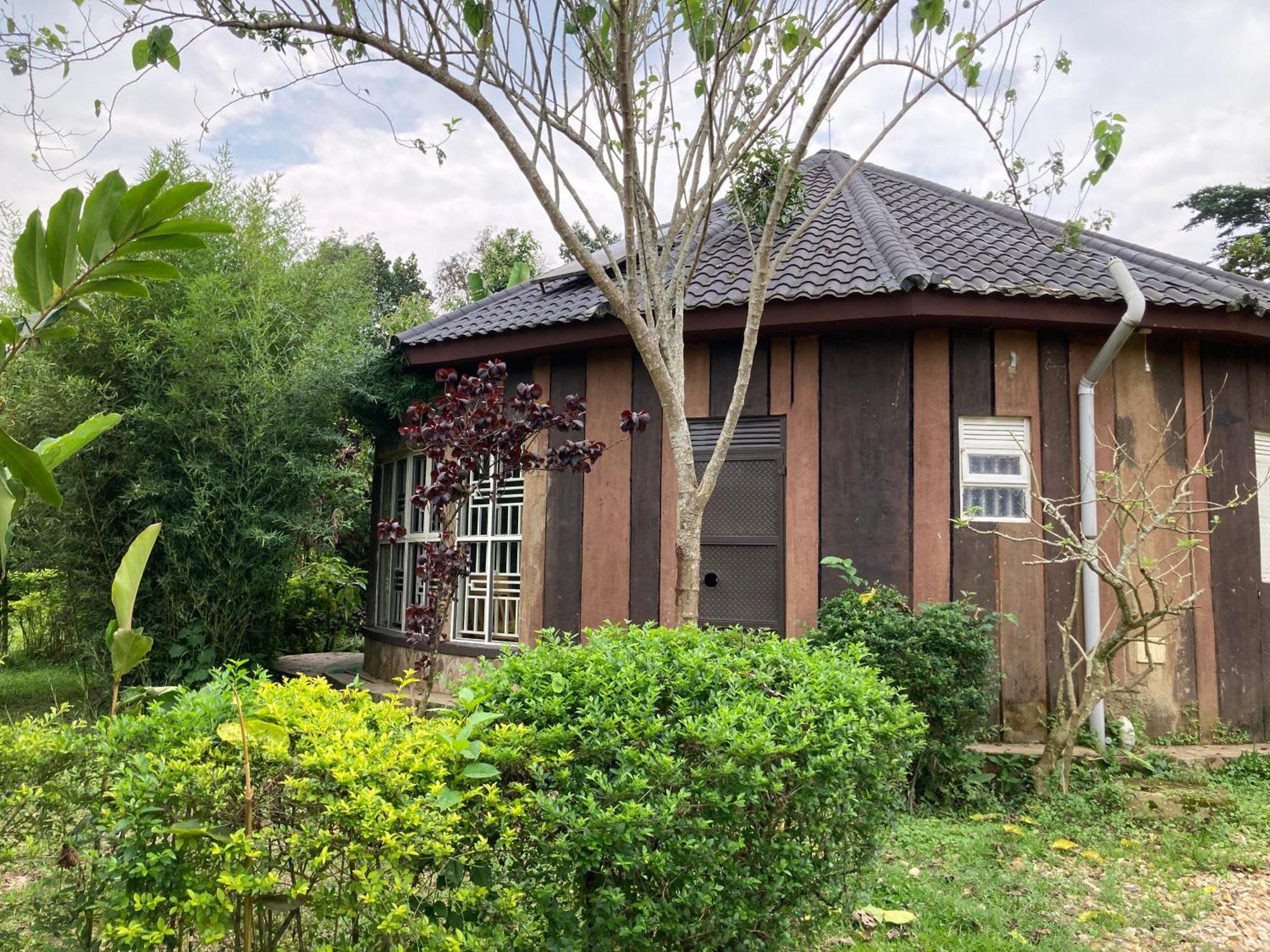 Bwindi Guest House Kanungu Zewnętrze zdjęcie