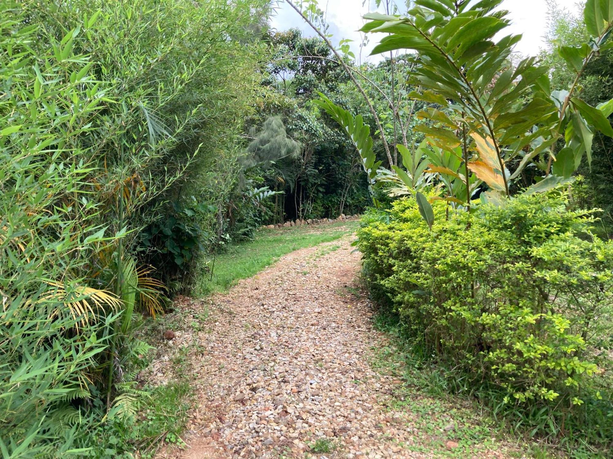 Bwindi Guest House Kanungu Zewnętrze zdjęcie