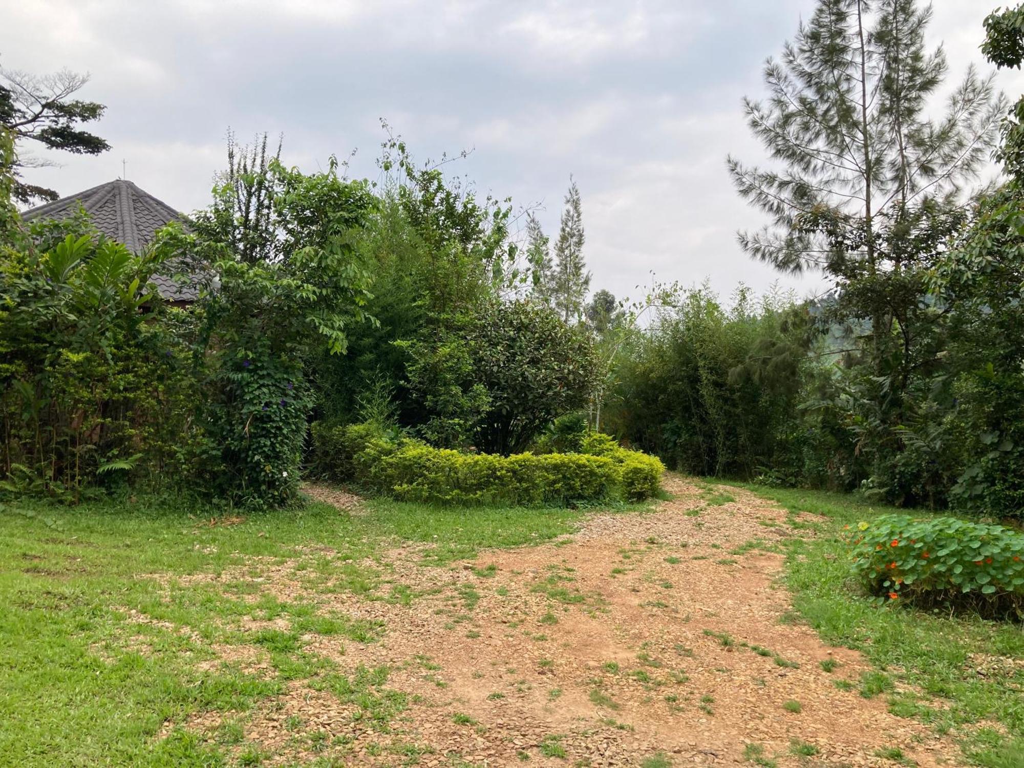 Bwindi Guest House Kanungu Zewnętrze zdjęcie