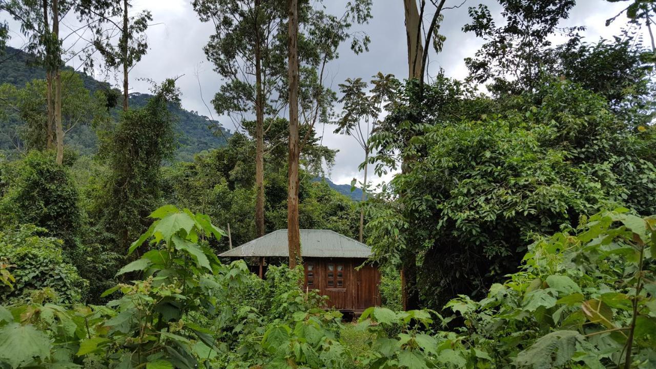 Bwindi Guest House Kanungu Zewnętrze zdjęcie