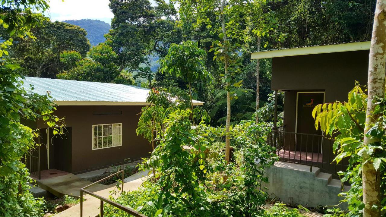 Bwindi Guest House Kanungu Zewnętrze zdjęcie