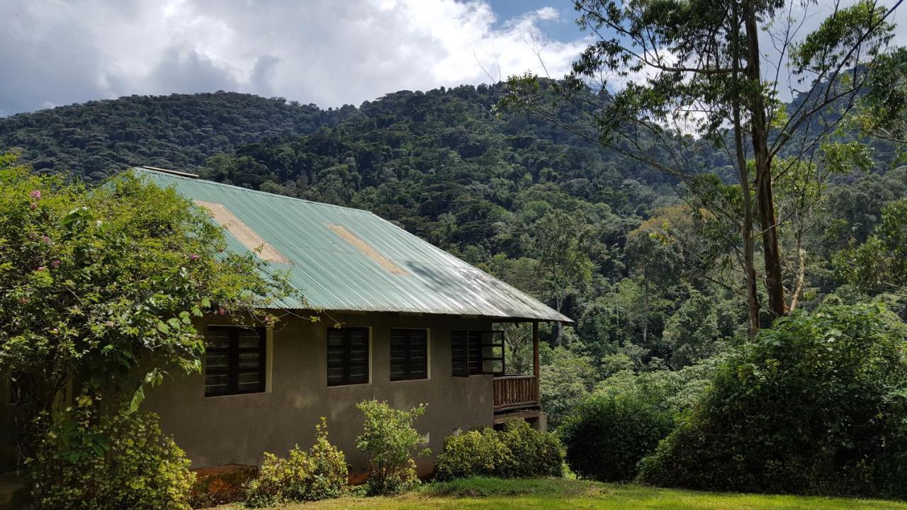 Bwindi Guest House Kanungu Zewnętrze zdjęcie