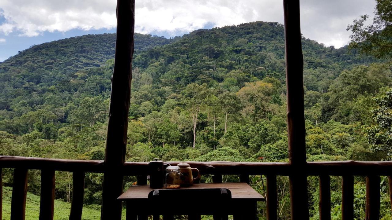 Bwindi Guest House Kanungu Zewnętrze zdjęcie