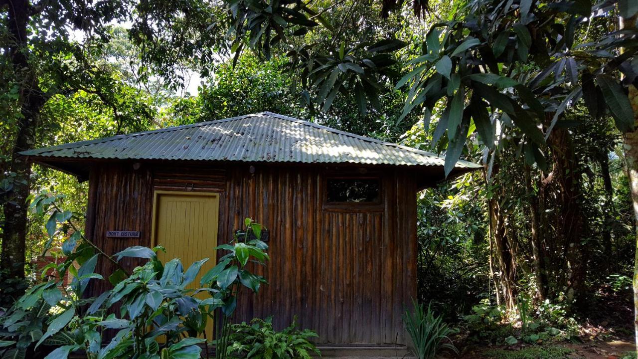 Bwindi Guest House Kanungu Zewnętrze zdjęcie