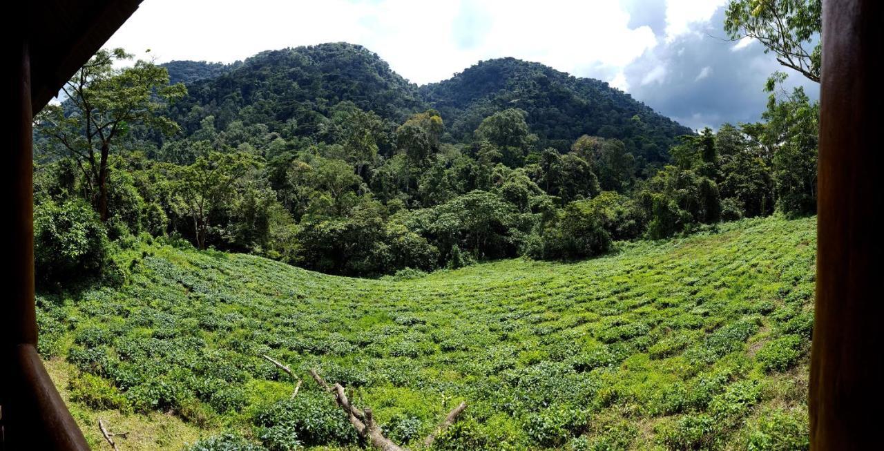 Bwindi Guest House Kanungu Zewnętrze zdjęcie